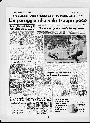 anteprima della pagina